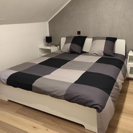Le Business, Duplex Moderne Special Pro De Passage Lejlighed Sarreguemines Eksteriør billede