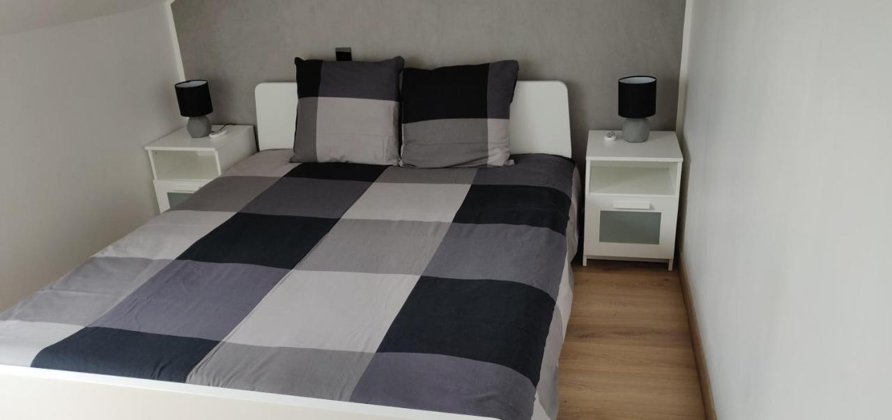 Le Business, Duplex Moderne Special Pro De Passage Lejlighed Sarreguemines Eksteriør billede
