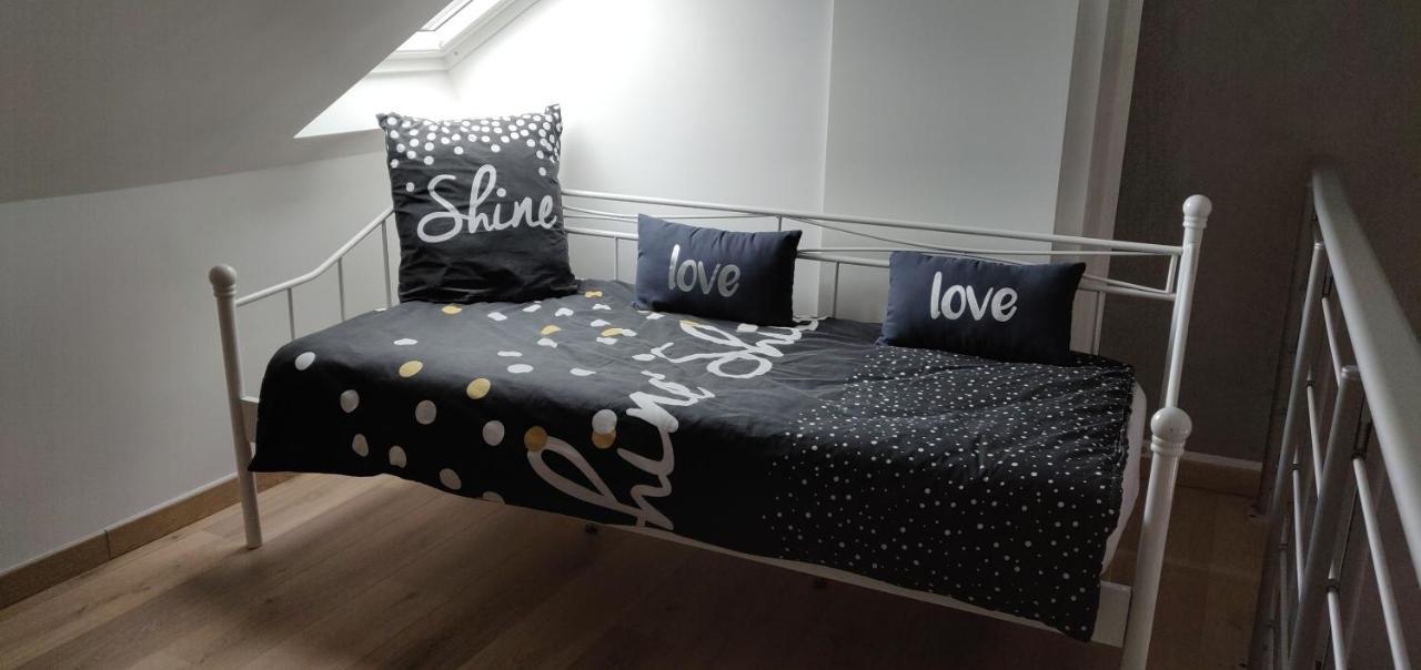 Le Business, Duplex Moderne Special Pro De Passage Lejlighed Sarreguemines Eksteriør billede