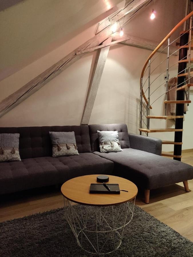 Le Business, Duplex Moderne Special Pro De Passage Lejlighed Sarreguemines Eksteriør billede
