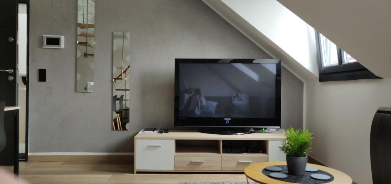 Le Business, Duplex Moderne Special Pro De Passage Lejlighed Sarreguemines Eksteriør billede