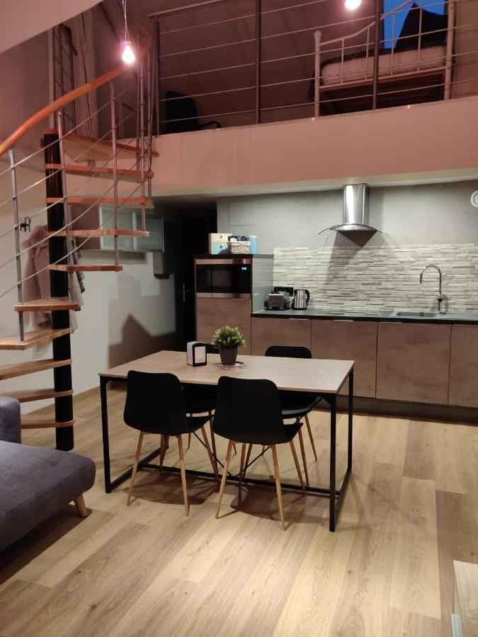Le Business, Duplex Moderne Special Pro De Passage Lejlighed Sarreguemines Eksteriør billede