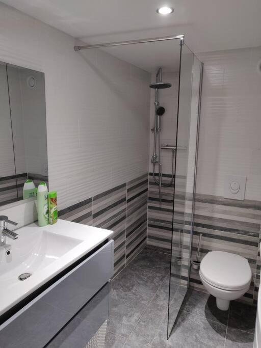 Le Business, Duplex Moderne Special Pro De Passage Lejlighed Sarreguemines Eksteriør billede