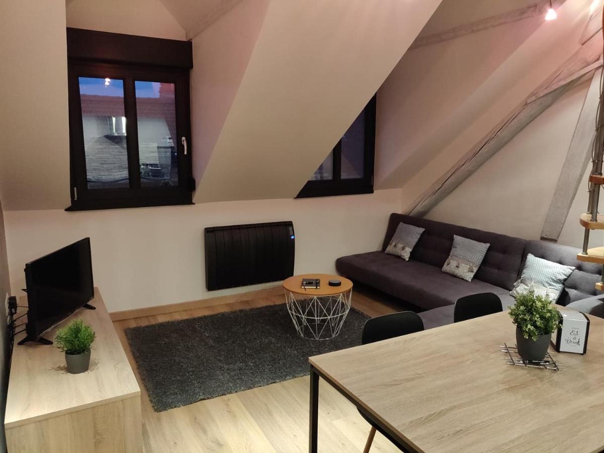 Le Business, Duplex Moderne Special Pro De Passage Lejlighed Sarreguemines Eksteriør billede