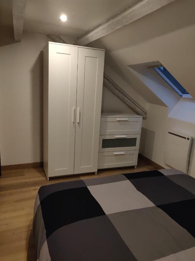 Le Business, Duplex Moderne Special Pro De Passage Lejlighed Sarreguemines Eksteriør billede
